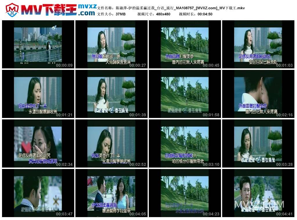 陈淑萍-伊的温柔赢过我_台语_流行_MA108757